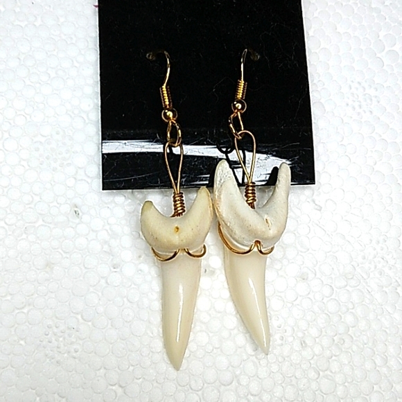 Shark tooth earrings - Picture 1 of 1